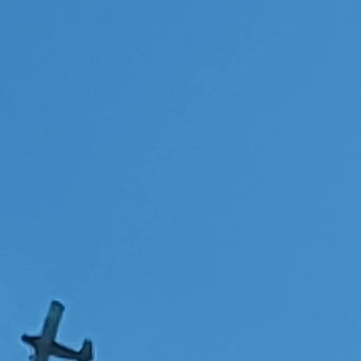 이채한