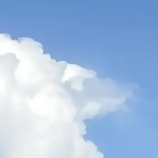 Profile image of チャムトゥル