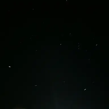 Profile image of 김운핛