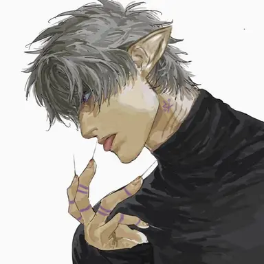 Profile image of Idris
