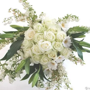 Profile image of 村上真都ラウール