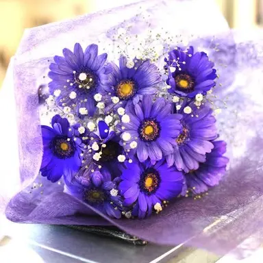 Profile image of 深澤辰哉