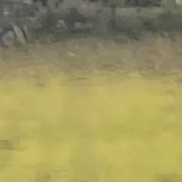 Profile image of 각별