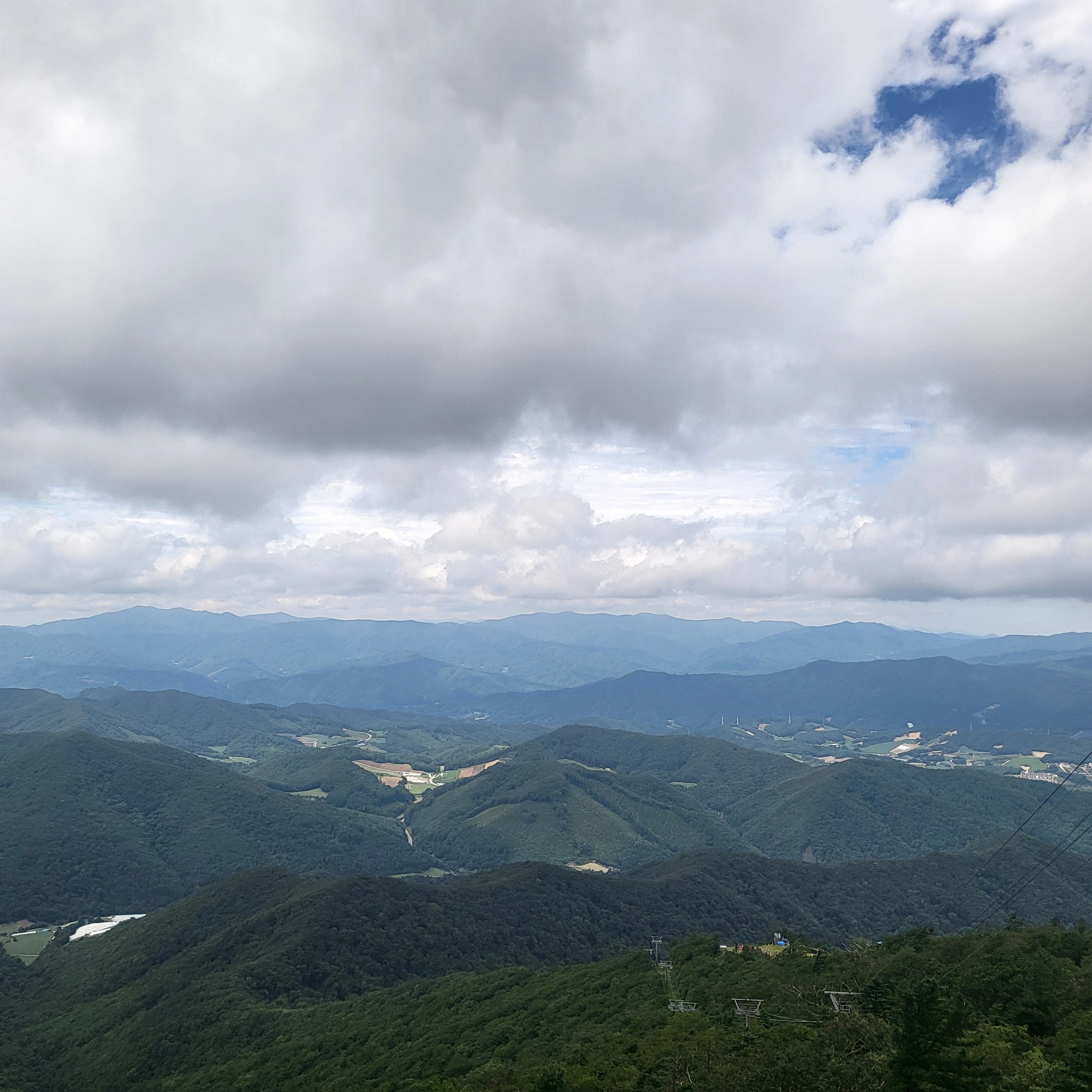 세봉고
