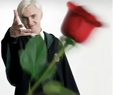 Profile image of Draco Malfoy