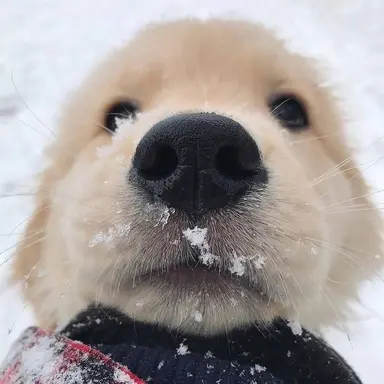 Profile image of 김태랑