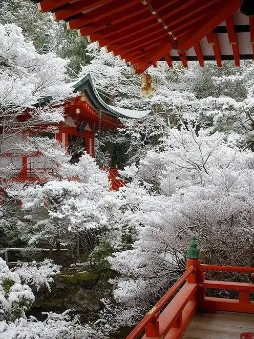 Sui__9608의 浮気者...