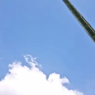 Profile image of 엥보