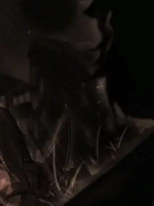 MeurHeathMeur의 𝐃𝐞𝐬𝐭𝐫𝐨𝐲