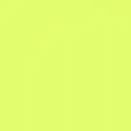 Profile image of 伊波ライ