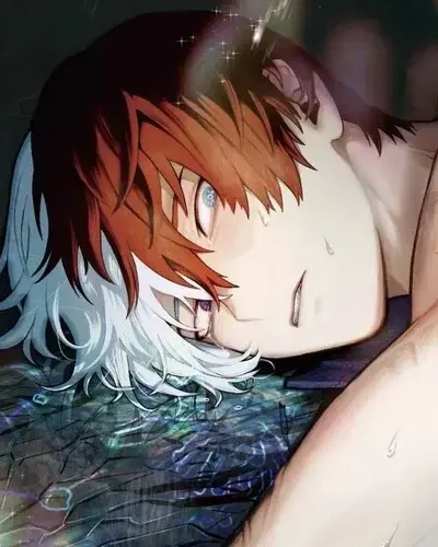 RaspyPiano6041의 MHA- Shoto Todoroki