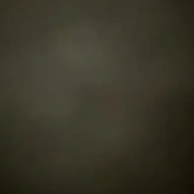 Profile image of 지원