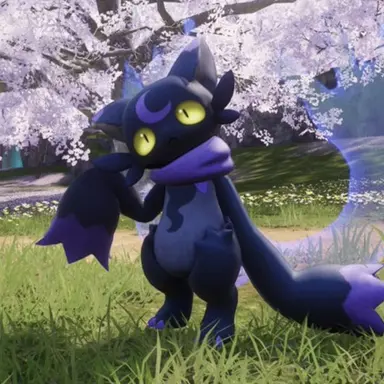 Profile image of Nyanchi