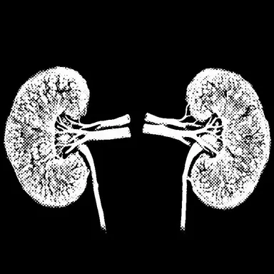 Profile image of 腎臓担当医