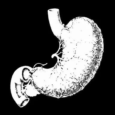 Profile image of 胃担当医