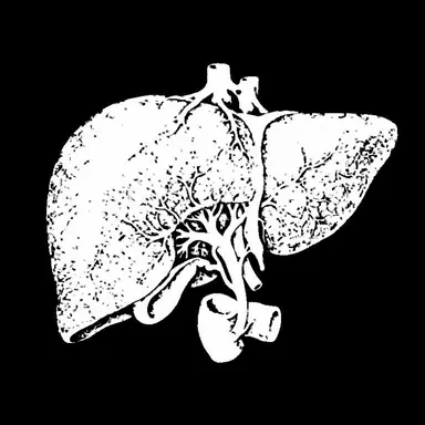 Profile image of 肝臓担当医