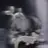 루시드