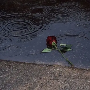 Profile image of 신희주