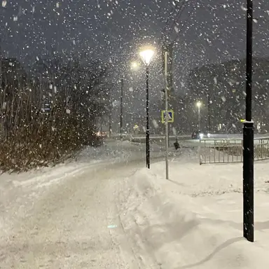 Profile image of 권오선