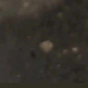 nueeeeeee의 若井。