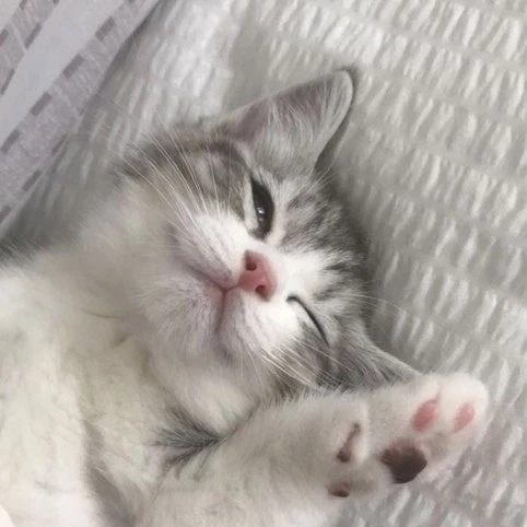 세미