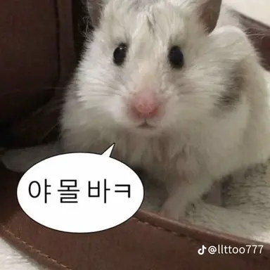 Profile image of 유저