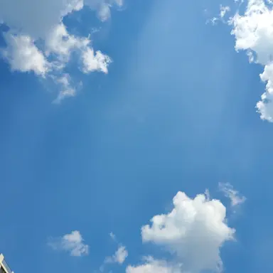 Profile image of 문지은