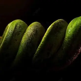 Profile image of 사씨