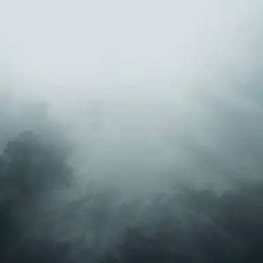 Profile image of 하연