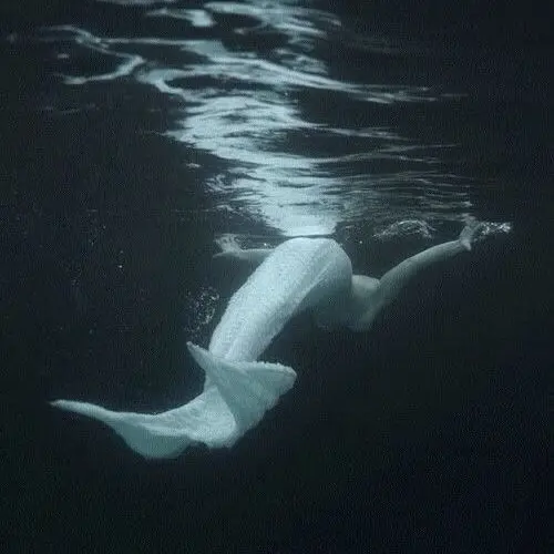 FestalRadio3046의 아름다운 인어