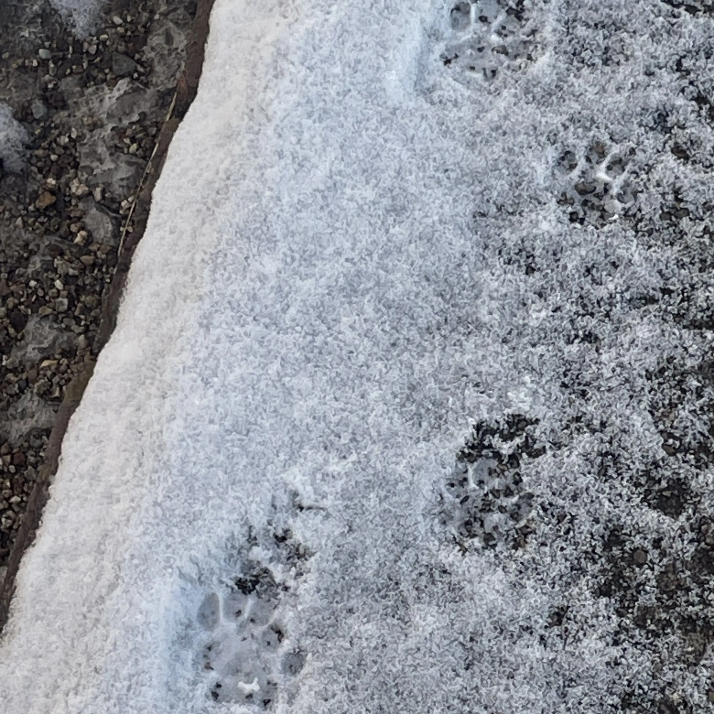 SappyMask1389의 팀나빠 첫눈⛄