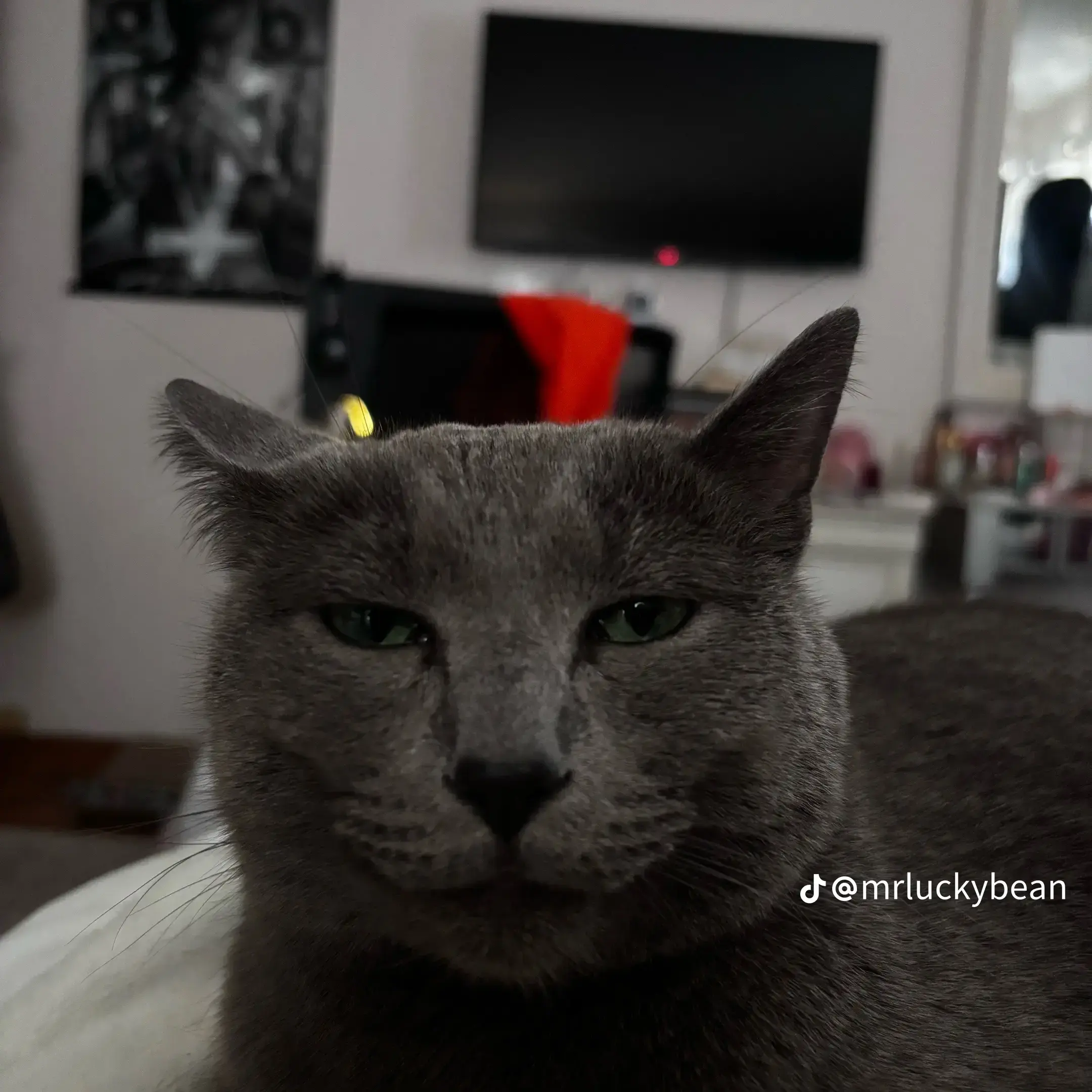 SmokySkirt2969의 Choose Us