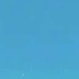 Profile image of 밴드 멤버들