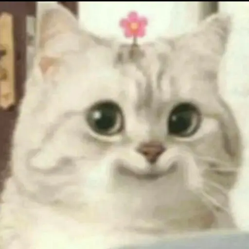 hhooyye_의 조서희희희희