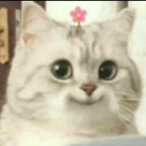 조서희희희희