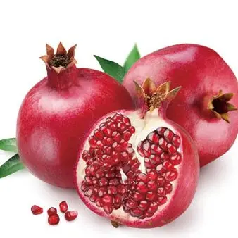 Profile image of 火村　芽衣