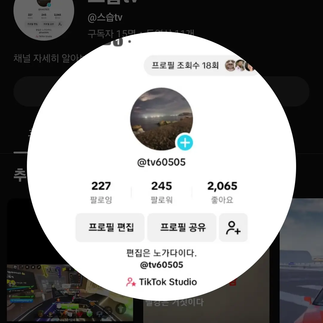 QuaintFlake3373의 스습tv