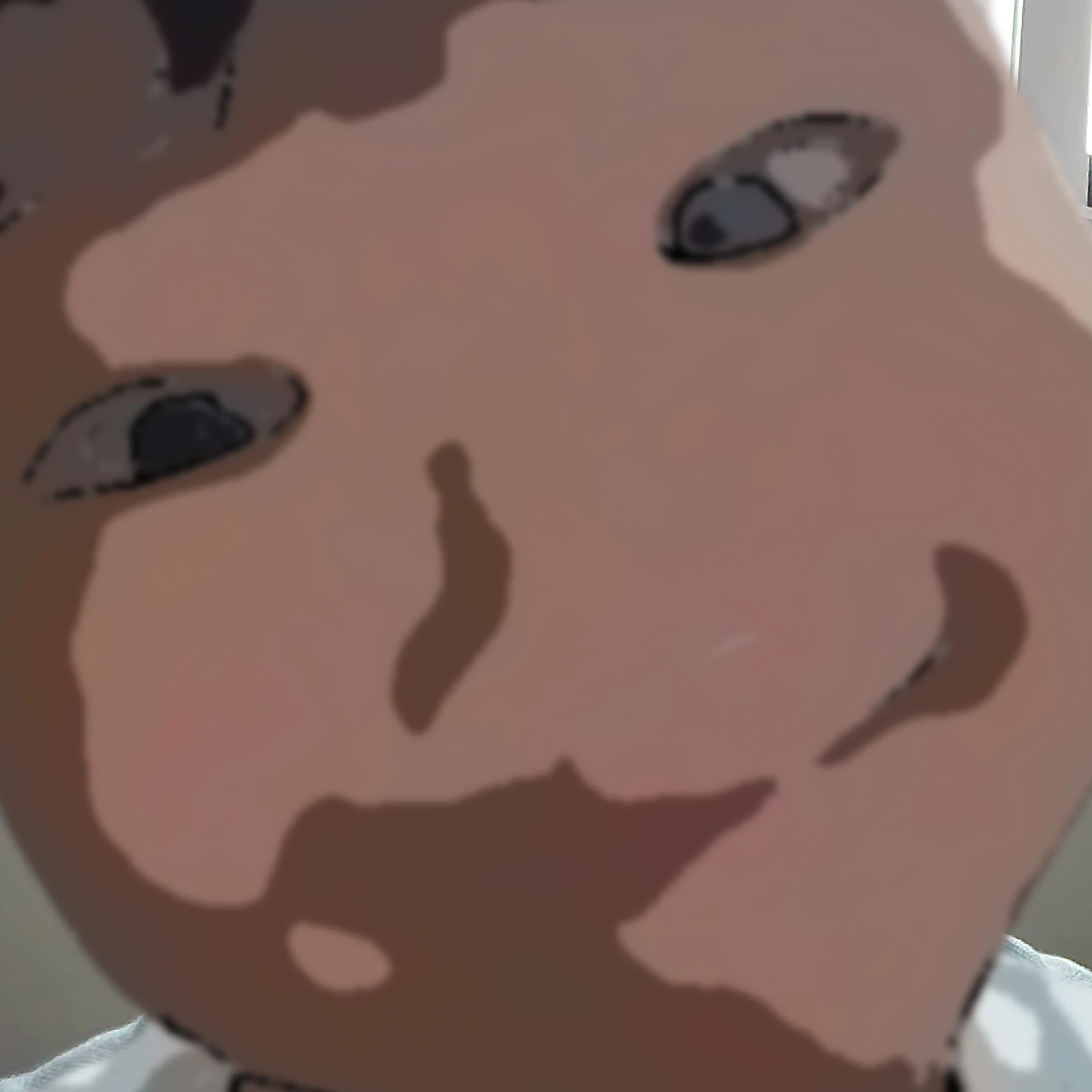 재미니