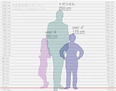 Profile image of トガリ