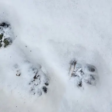 Profile image of 아름