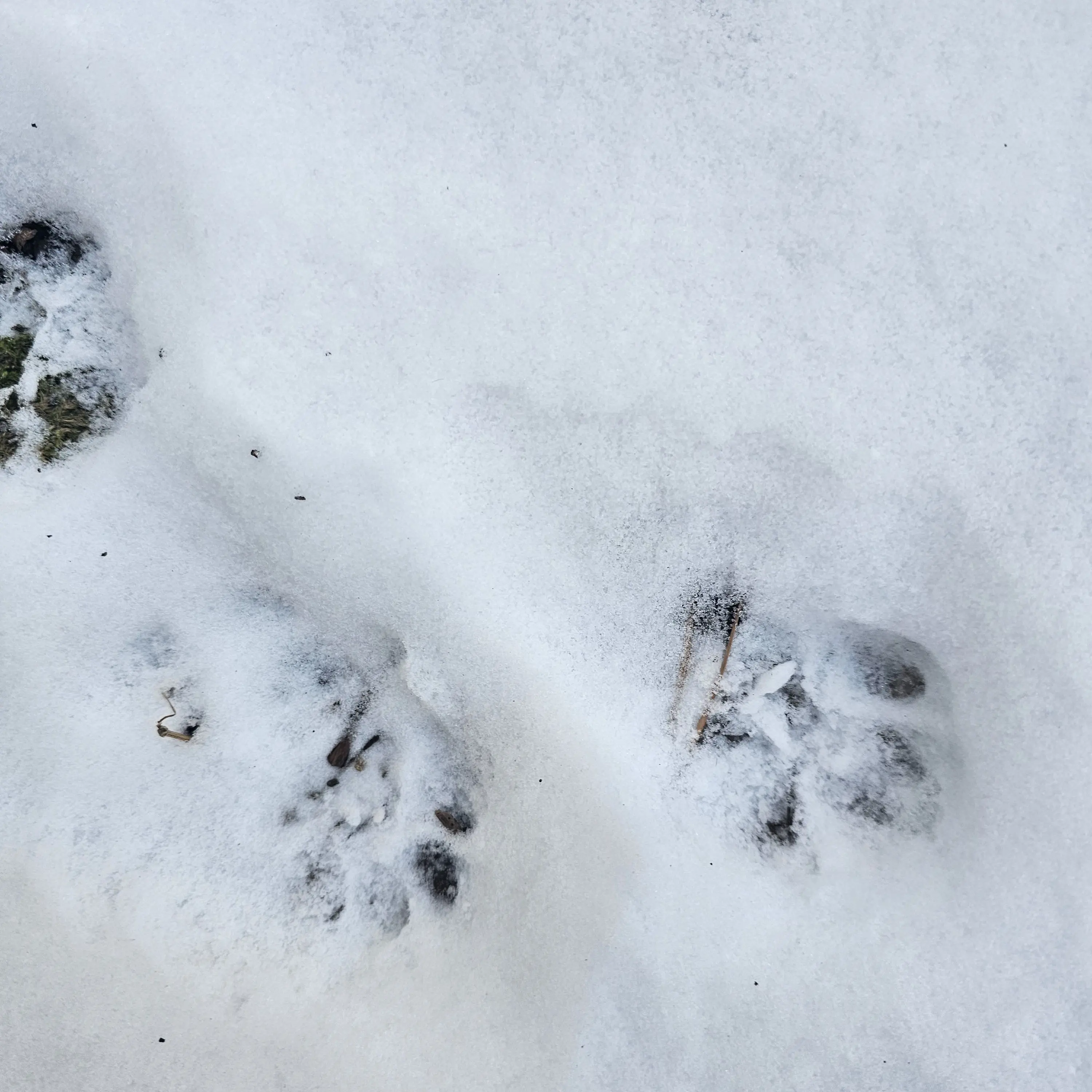 JUJUJIA1123의 고고프렌즈랑 알바....?