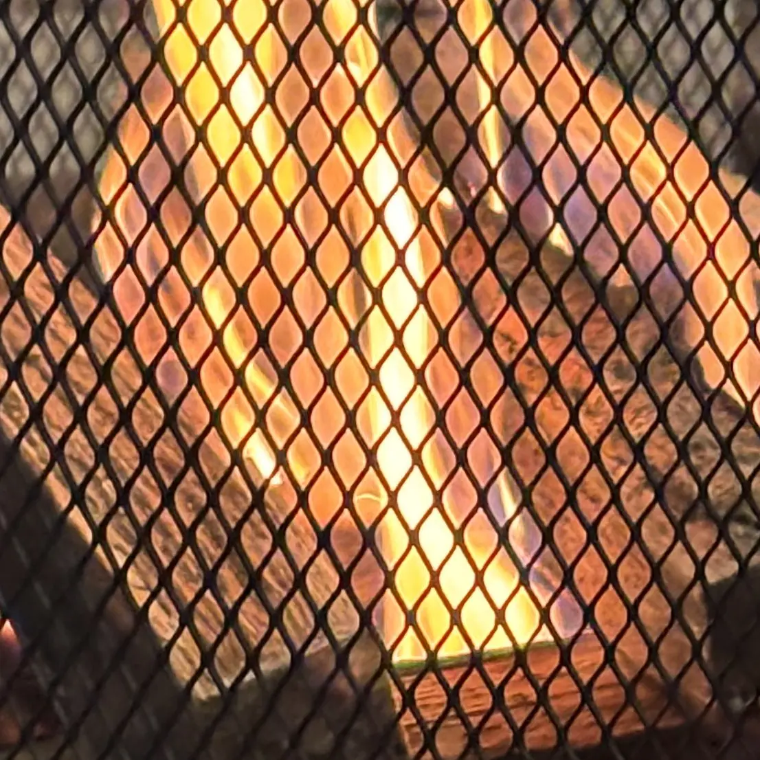 1916HEHO의 로보 프로스터