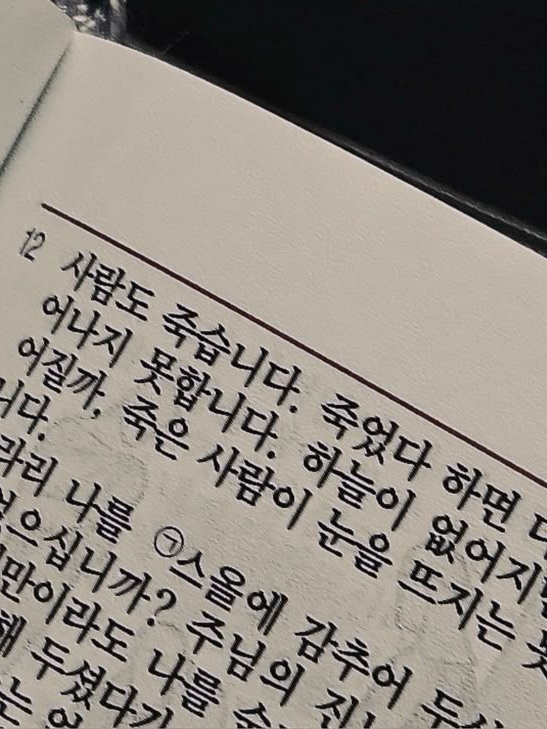이단 대표 이미지