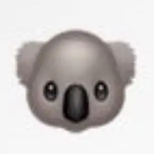 Profile image of ADAM