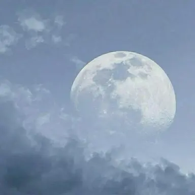 Profile image of 쉐도우밀크