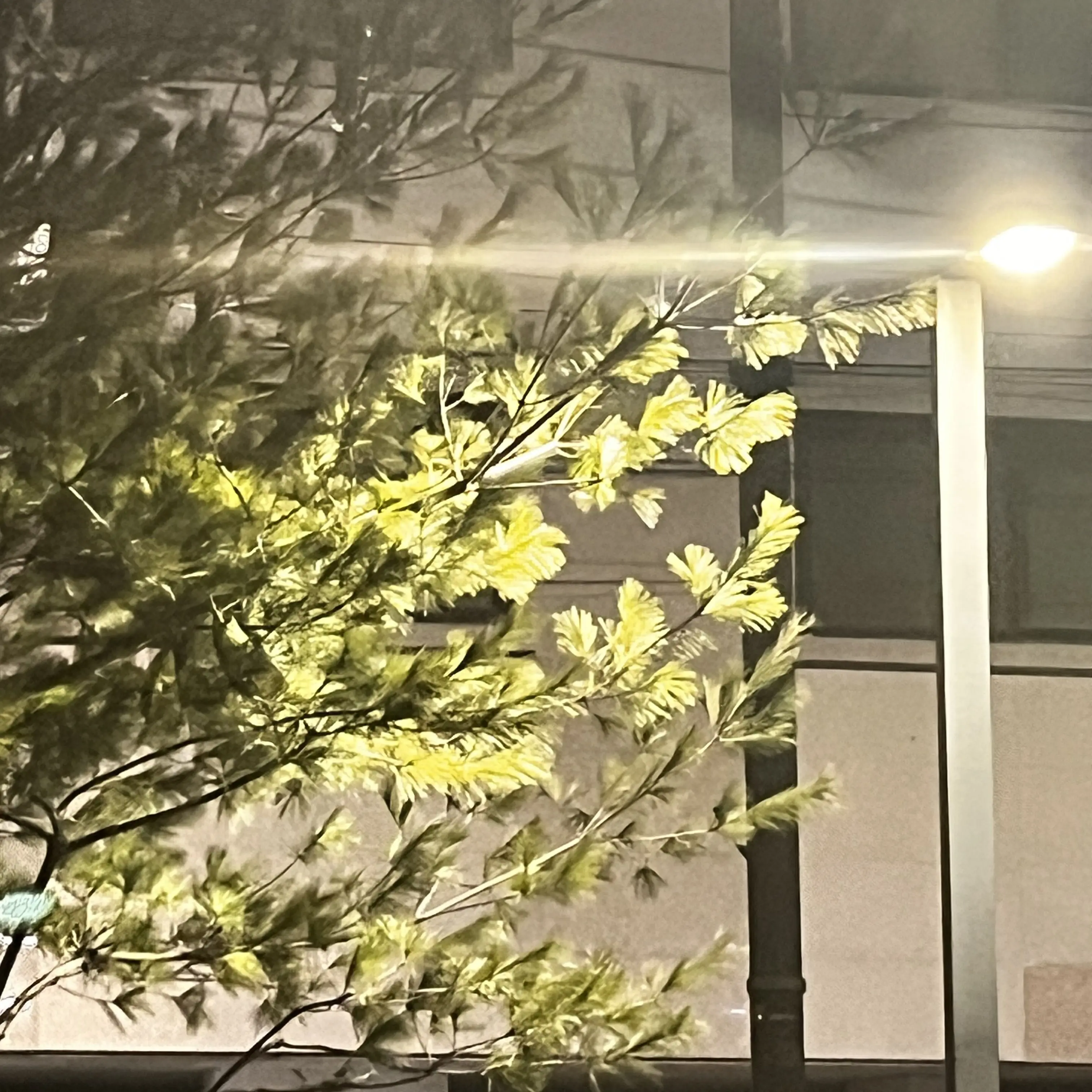 TrendyBoy0730의 교통사고를 당한 유저..