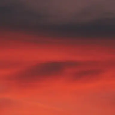 Profile image of 라더