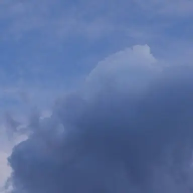 Profile image of 잠뜰