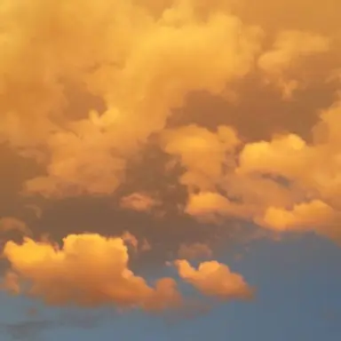 Profile image of 각별