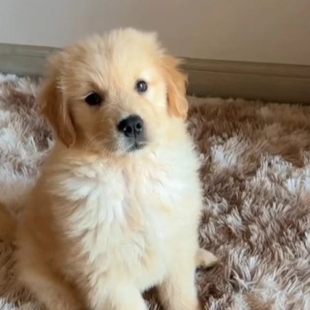 김승민